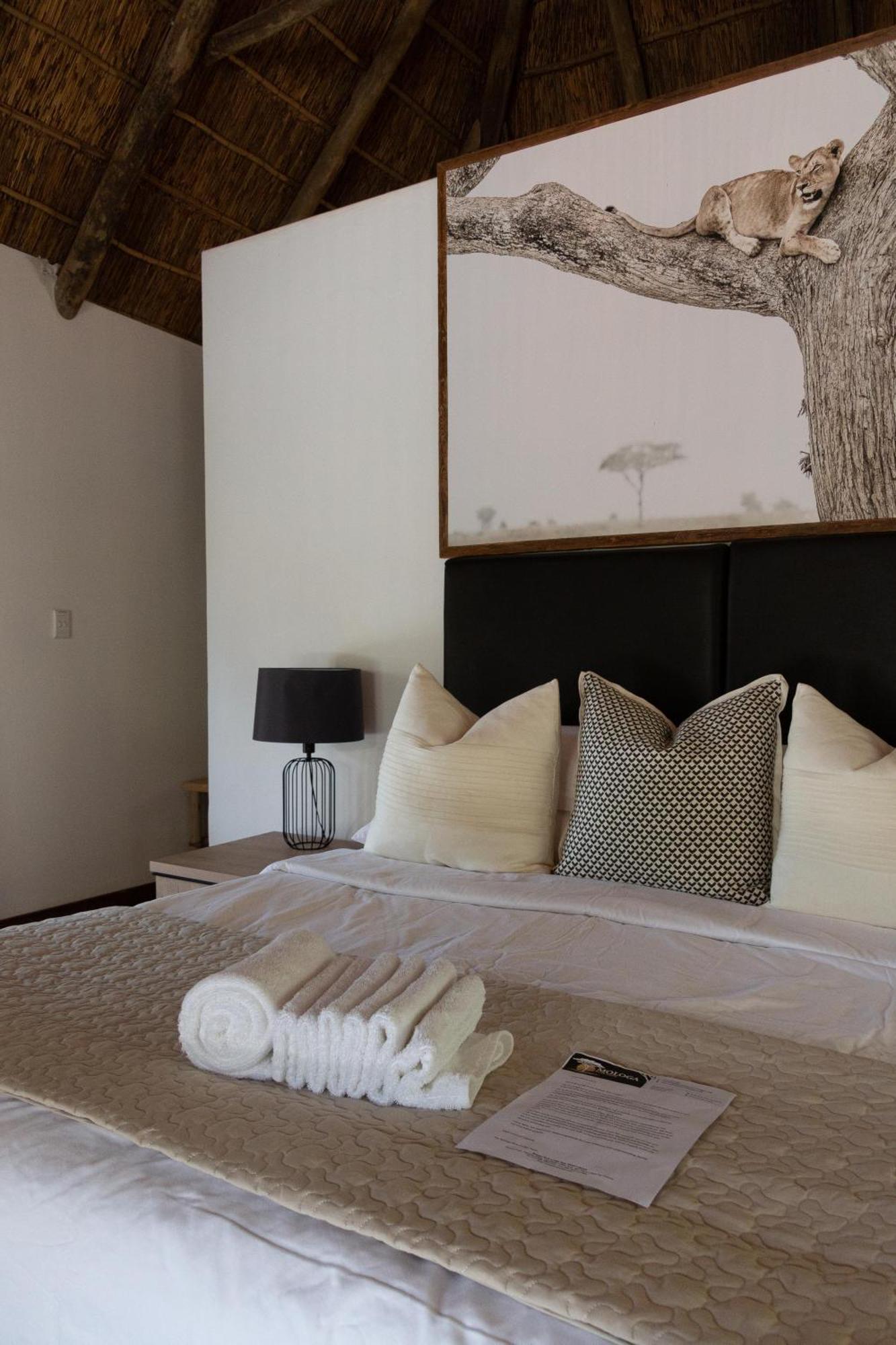 Mologa River Lodge Rust de Winter 外观 照片