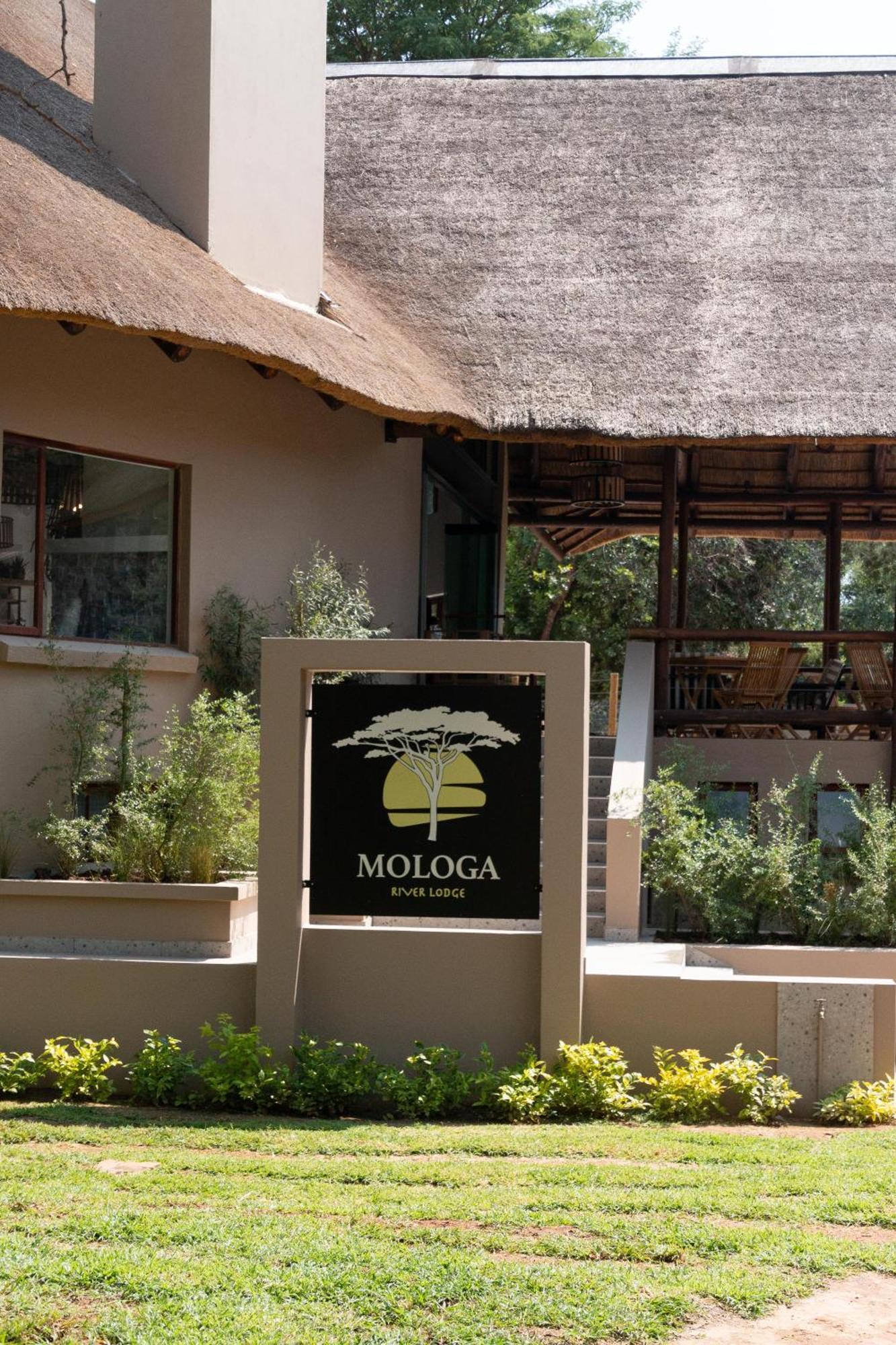 Mologa River Lodge Rust de Winter 外观 照片