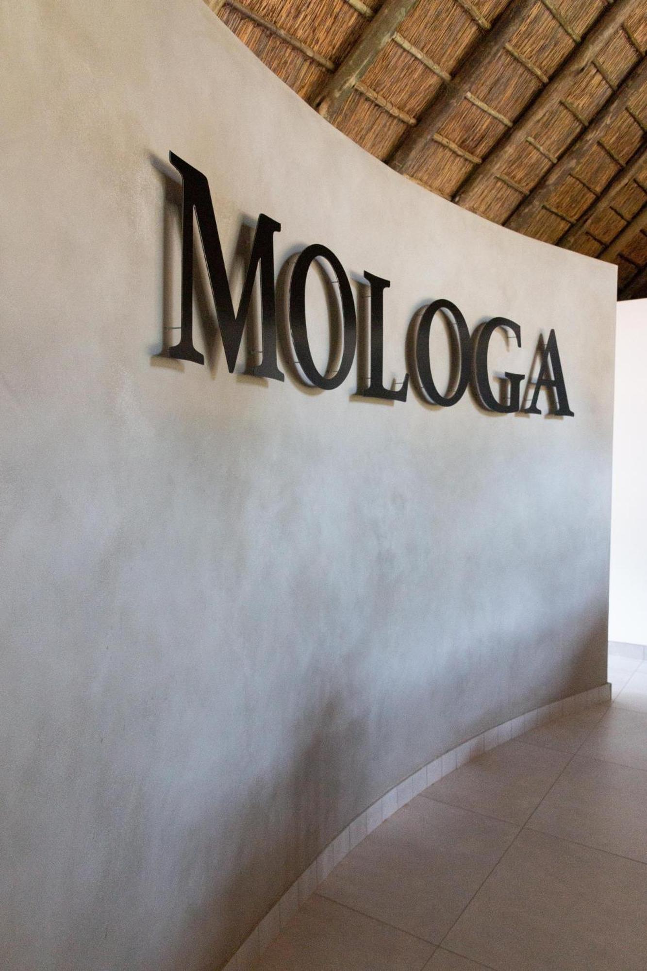 Mologa River Lodge Rust de Winter 外观 照片